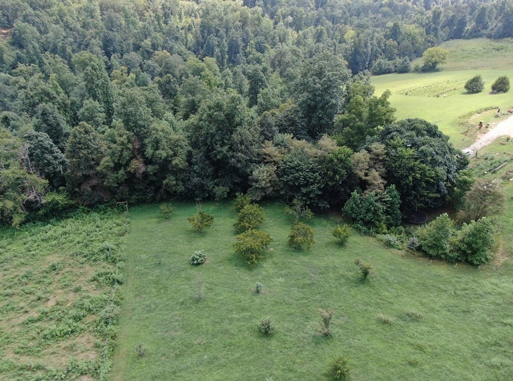 5. 5 Acres Raven Hill Road