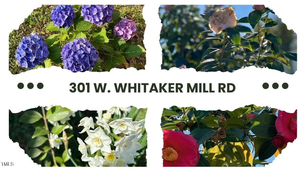 41. 301 W Whitaker Mill Road