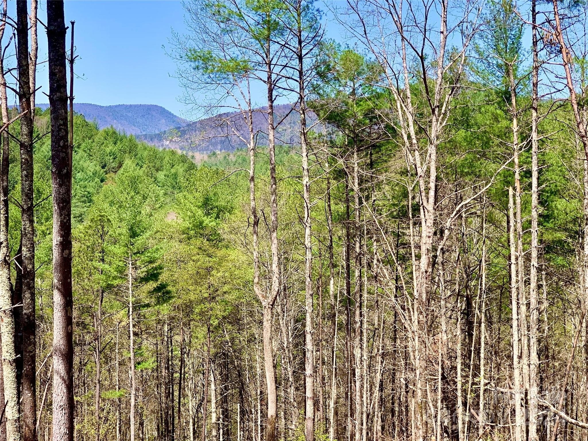 7. Lot 376 Table View Lane