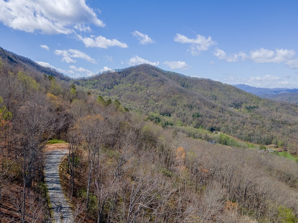 16. Lot 11 Bryson Gap Preserve