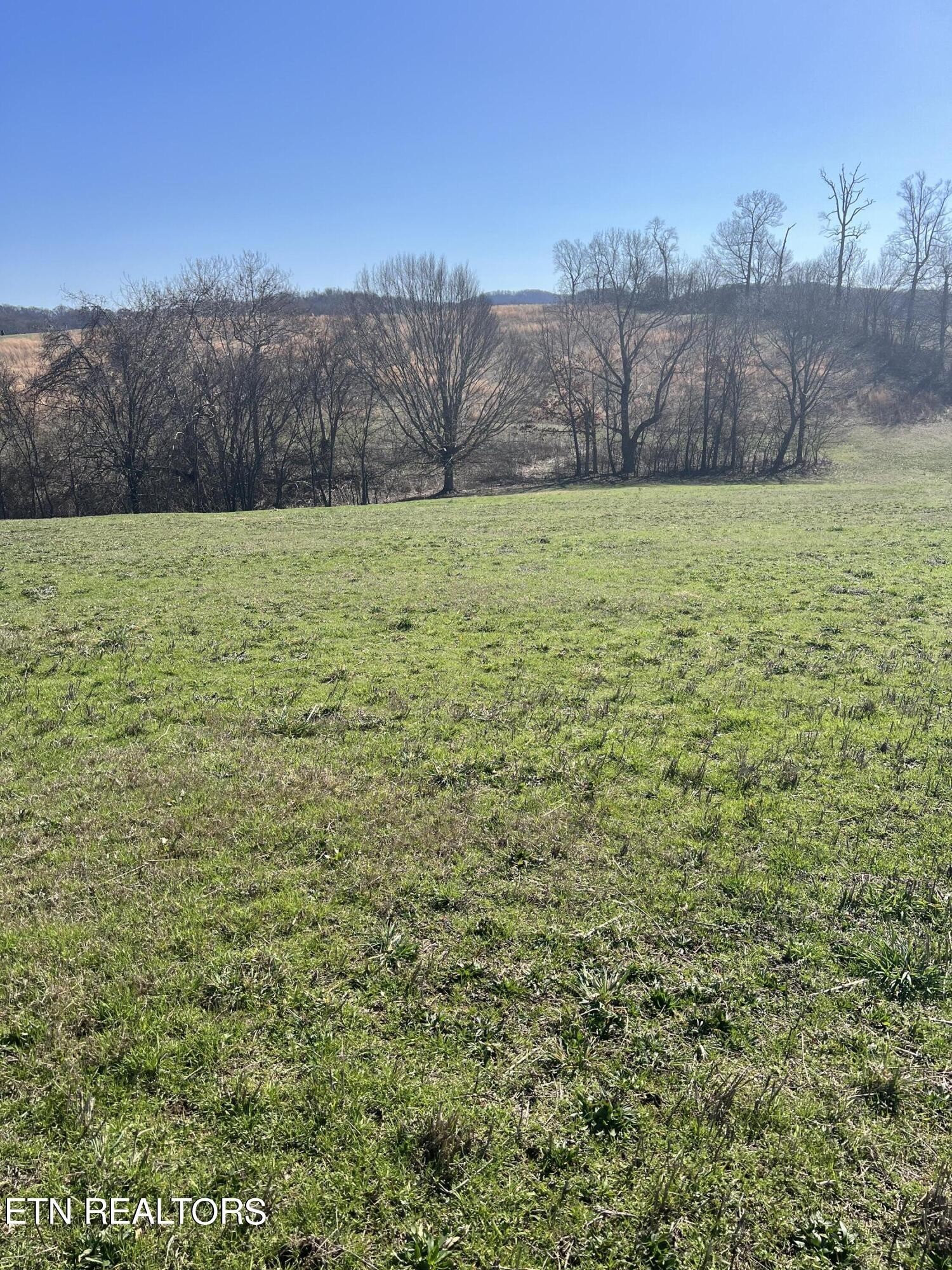 2. Lot 8 Schertz Lane