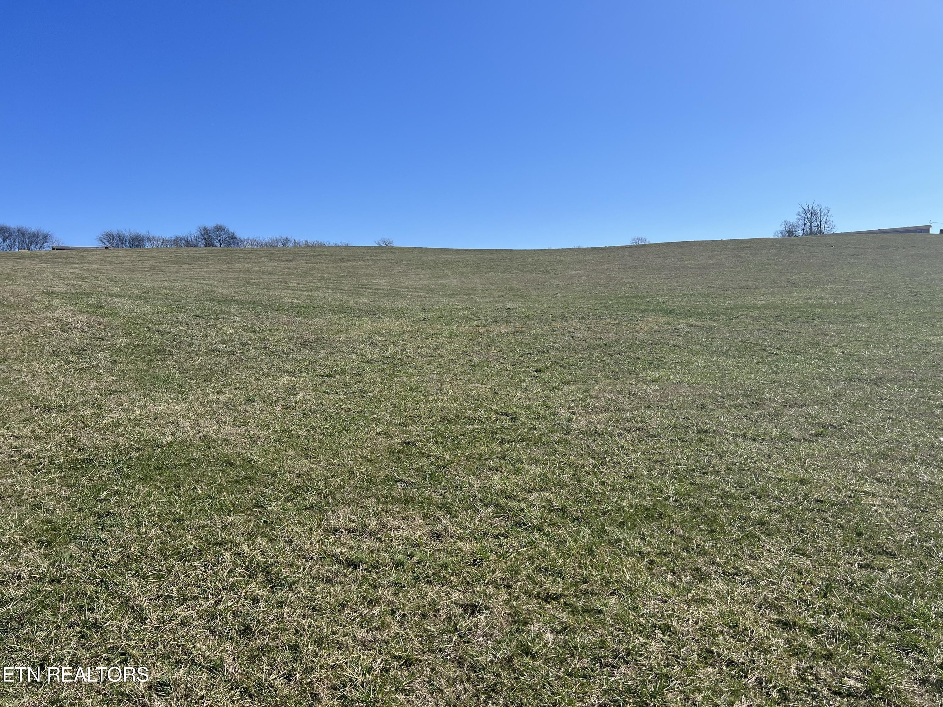 3. Lot 8 Schertz Lane