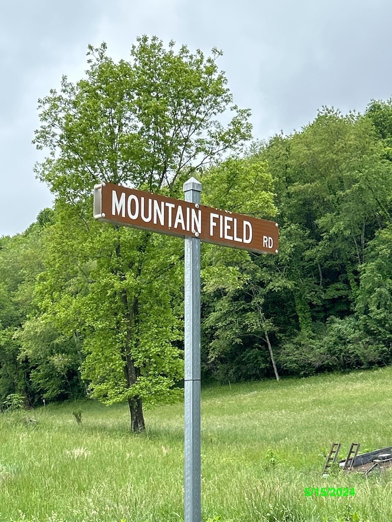 14. 156 Mountain Field
