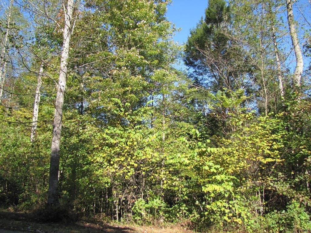 1. Lot 15 Melmark Acres Trail