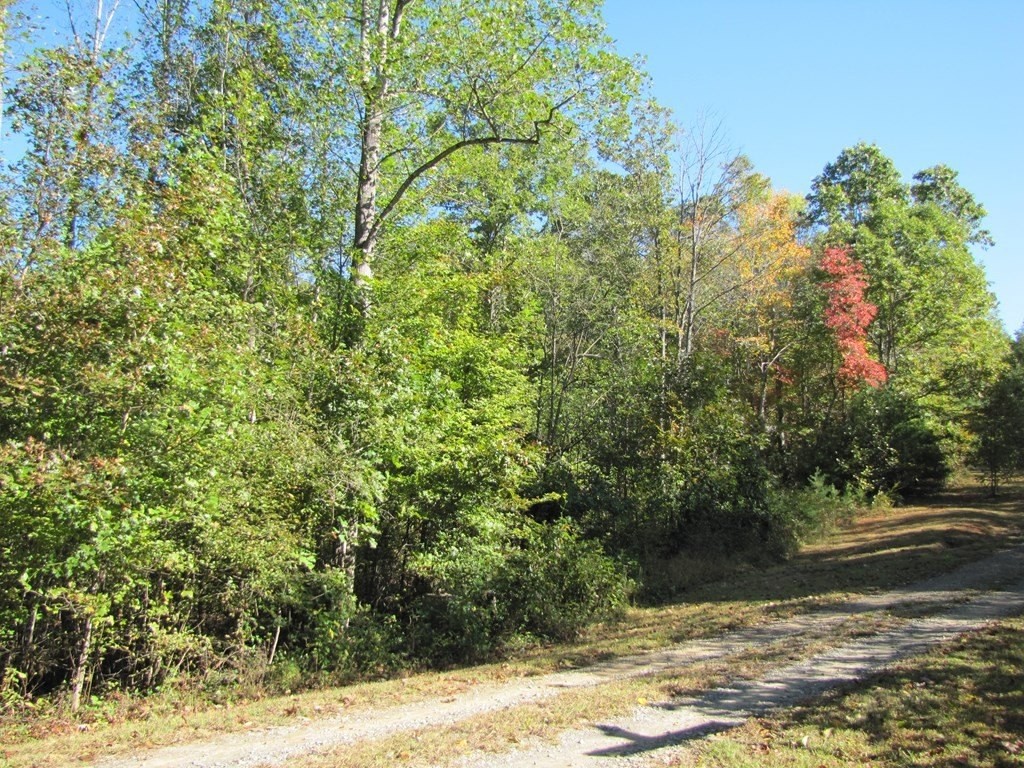 2. Lot 15 Melmark Acres Trail