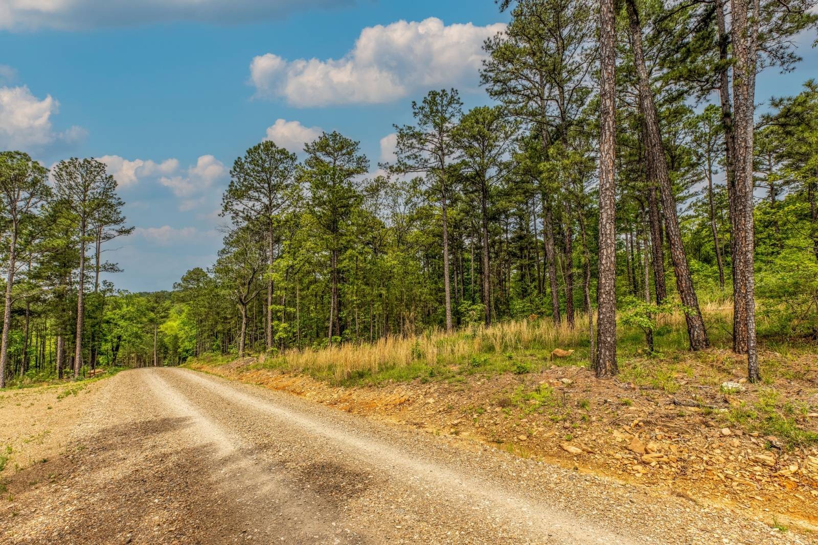 7. Lot 18 Phase 1 Timber Ridge Estates