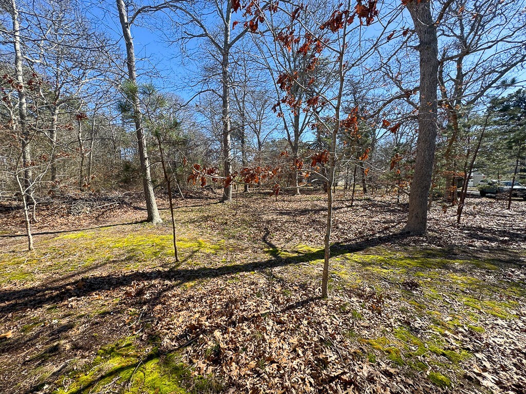 8. 0 Robbins Hill  Road Rear Road