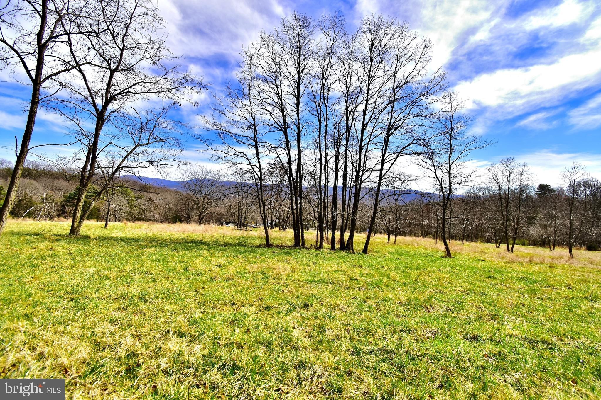 24. 49 + Acres Sunnyside Road