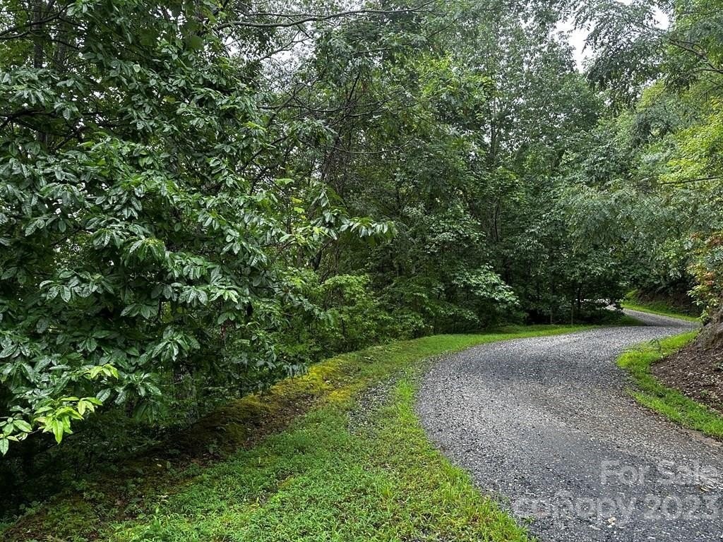 2. Lot 8 Long Creek Lane