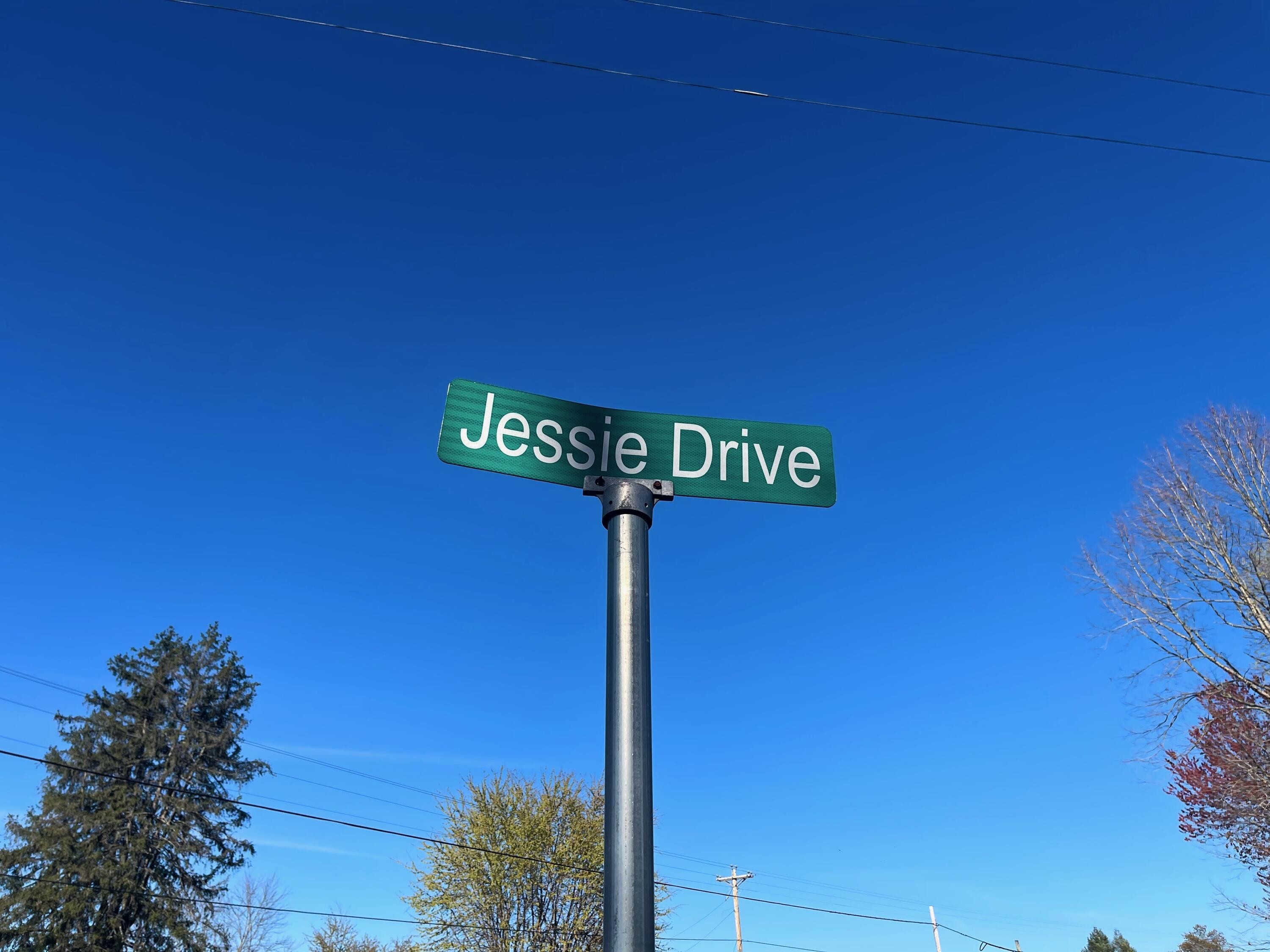 38. 42 Jessie Drive