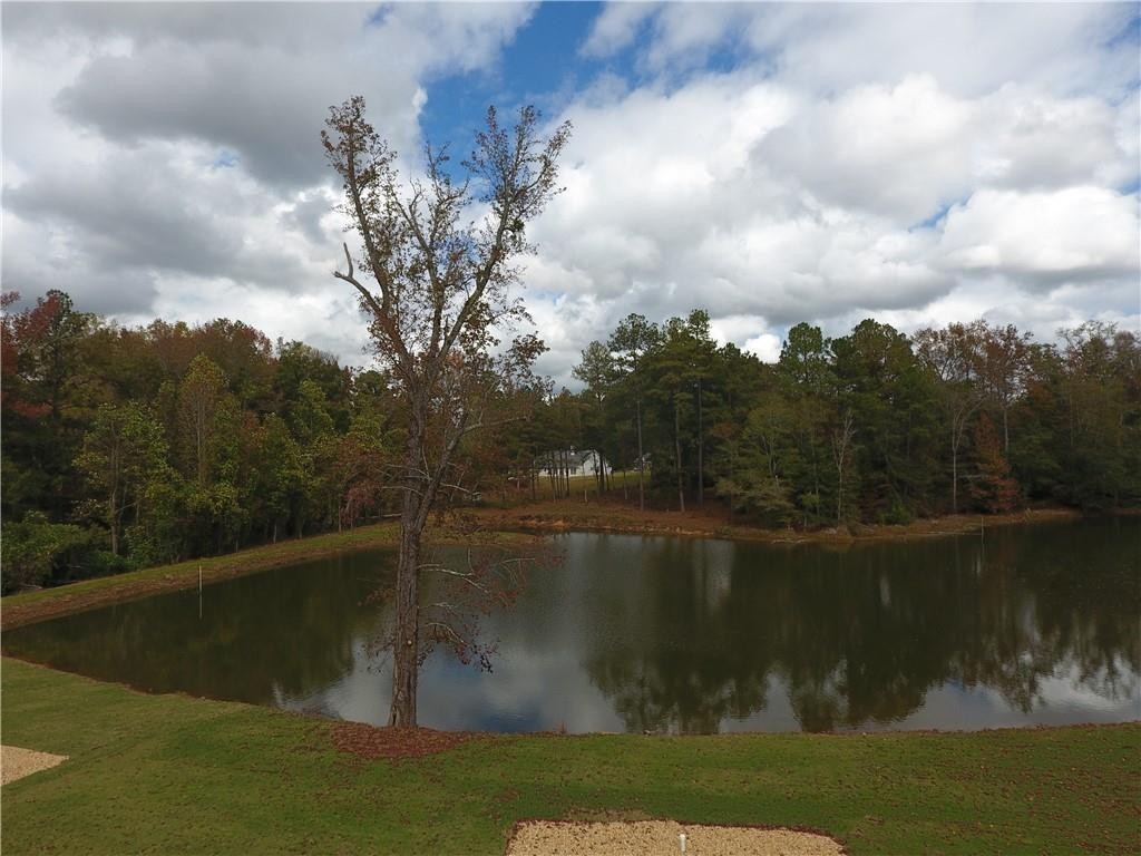 3. 3069 Flat Shoals Tract 2 Road