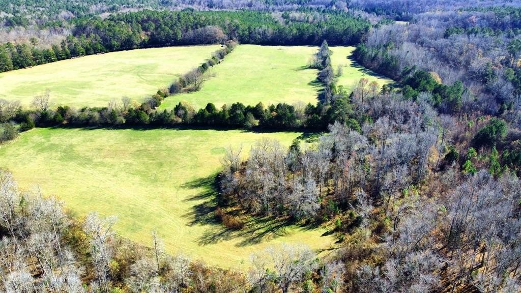 2. 256 Ac Beaverdam Creek Rd