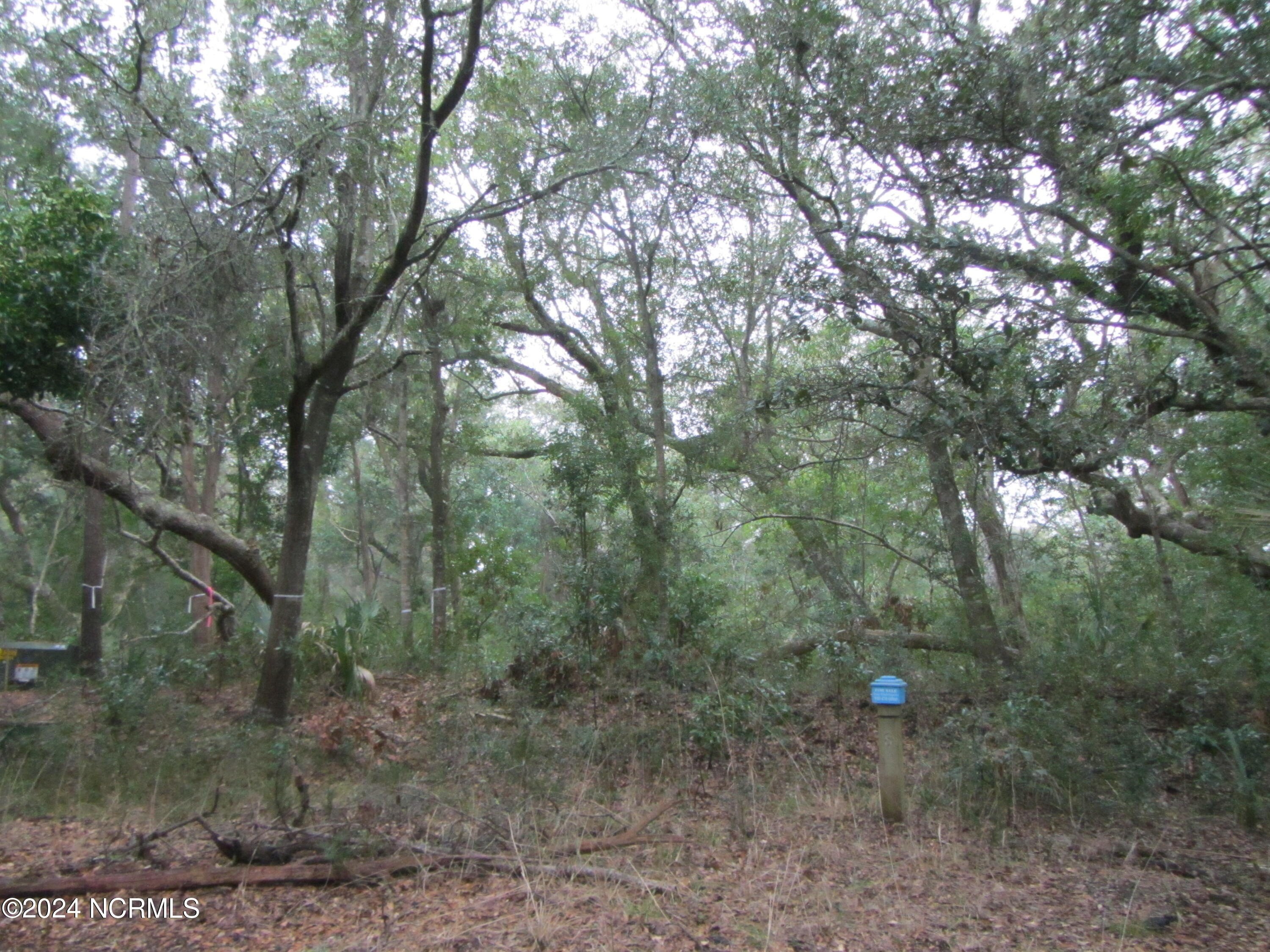 4. 8 Leopard Frog Court