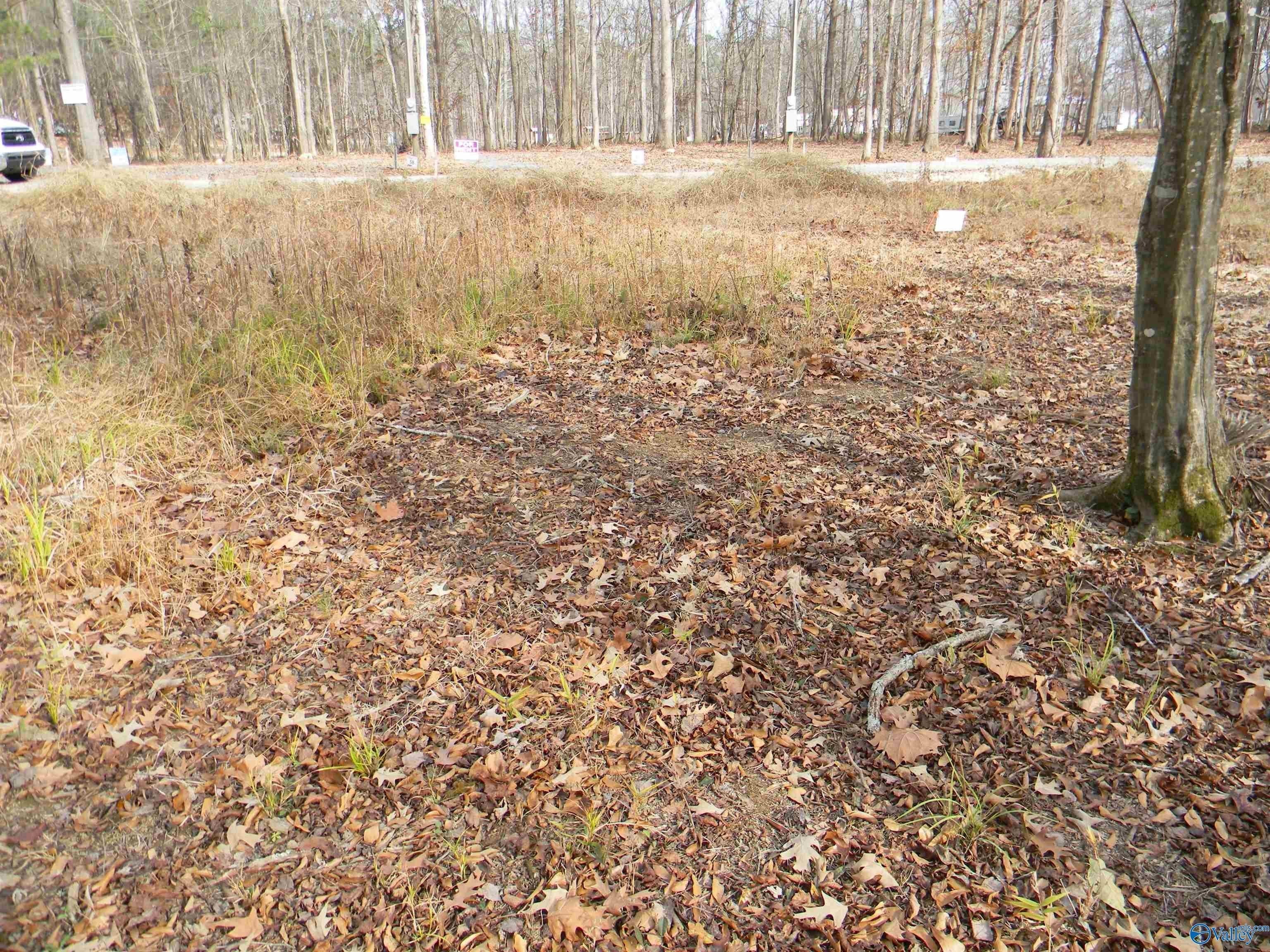 7. Lot8nickelscove County Road 182