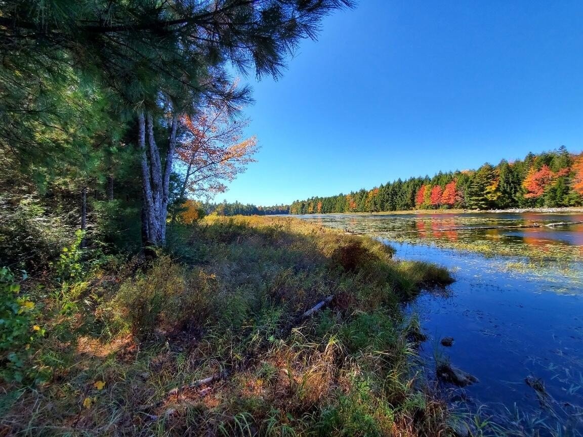 13. Clifford Lake Road