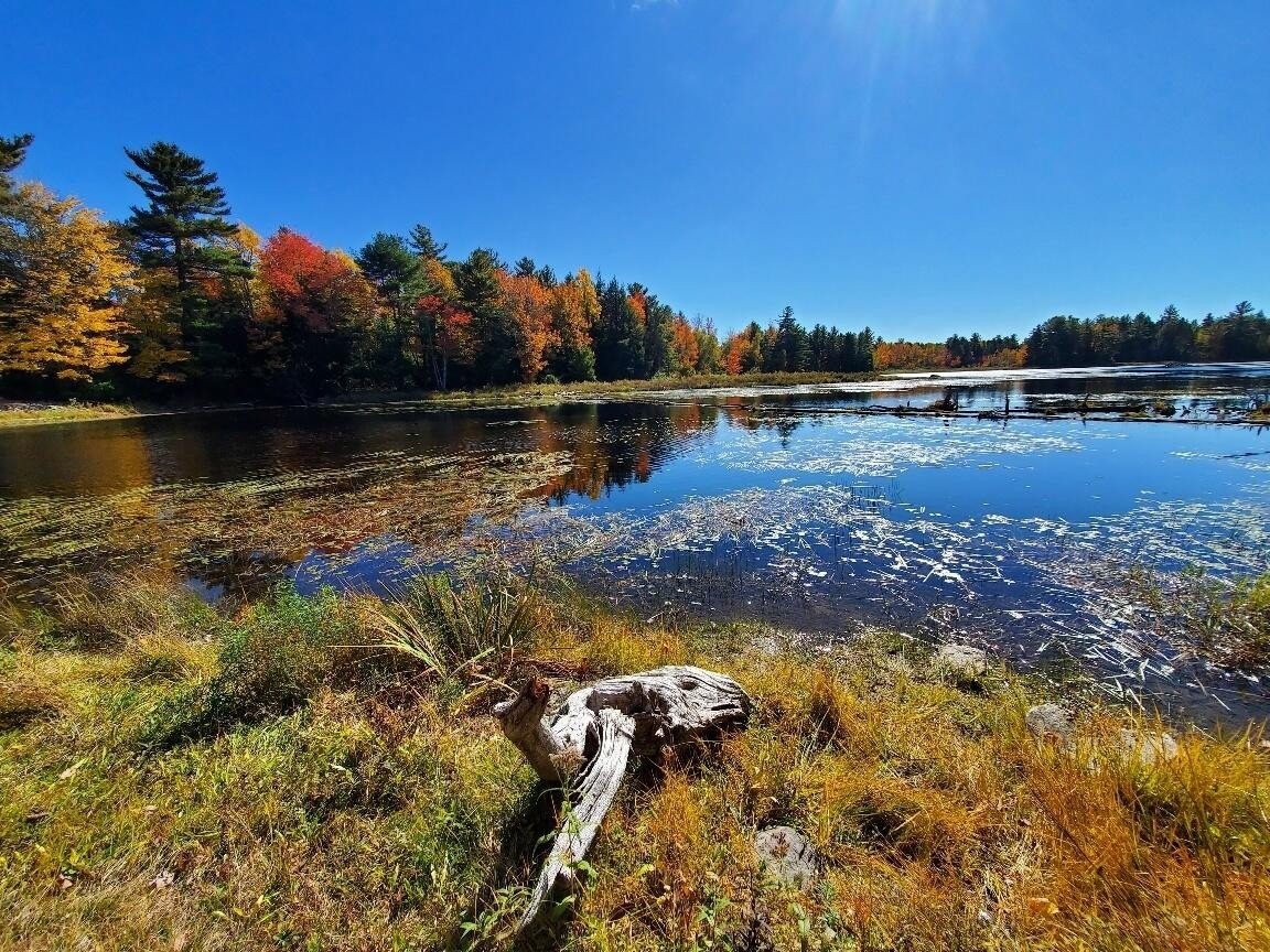 7. Clifford Lake Road