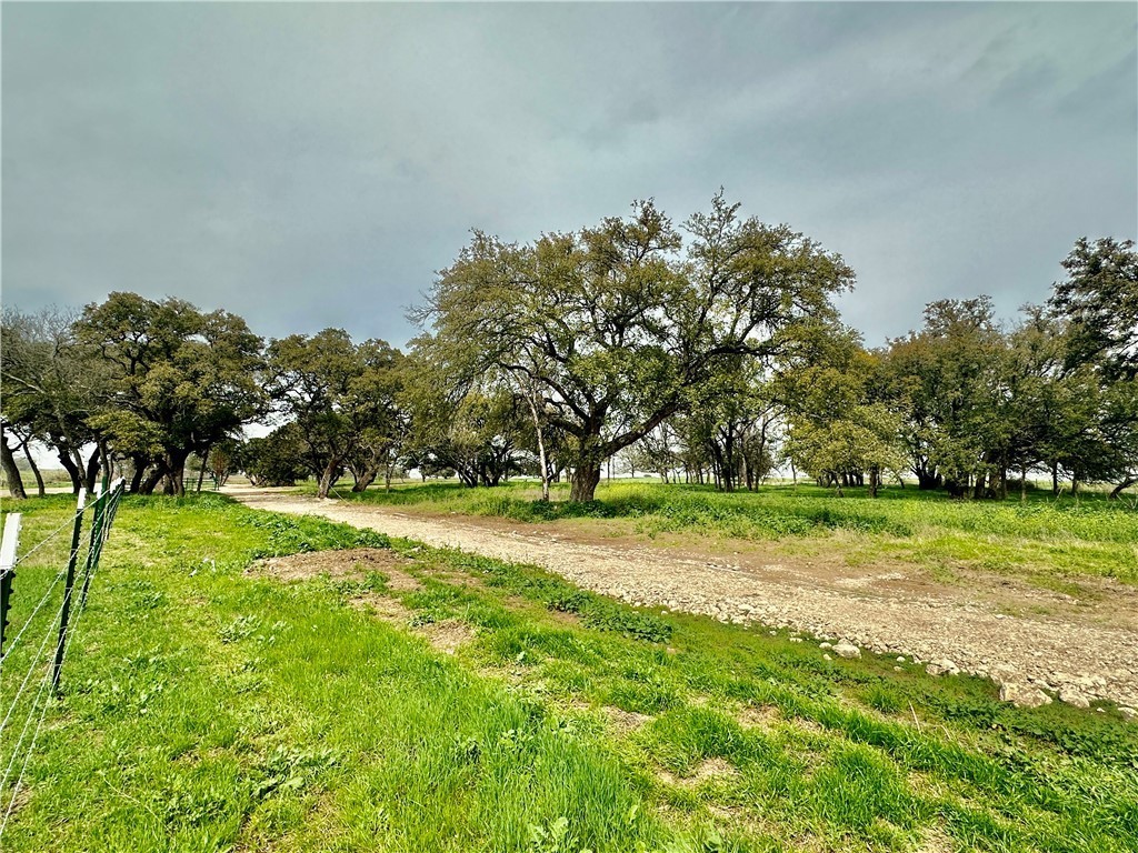 7. Tract 1 Cr 356 Road