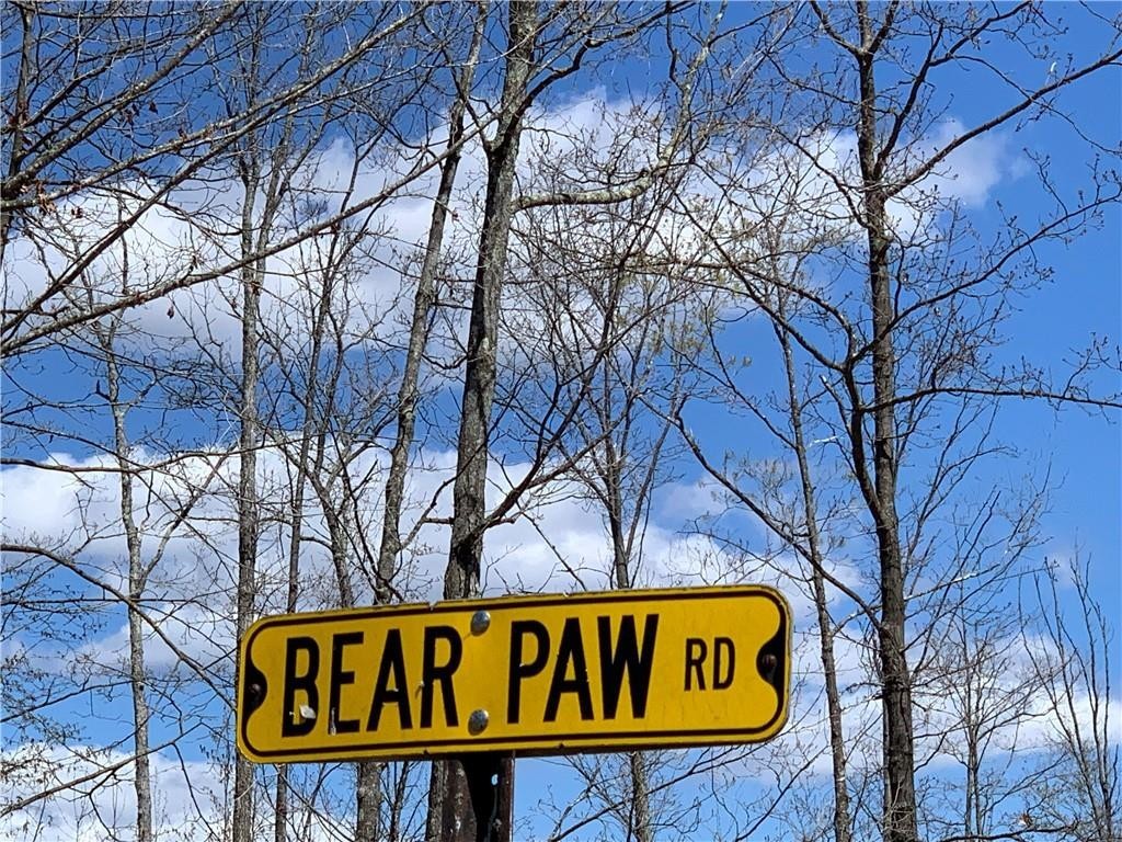 6. Lot 1 Bear Paw Road