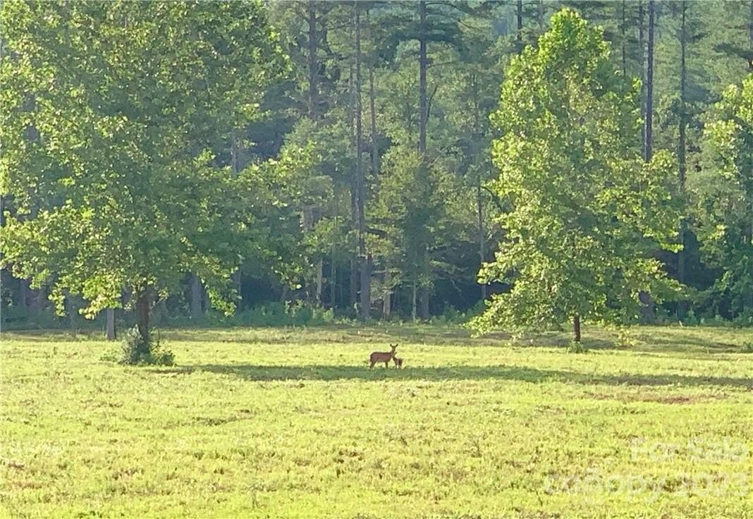 33. 2.98 Acres River Club Ridge