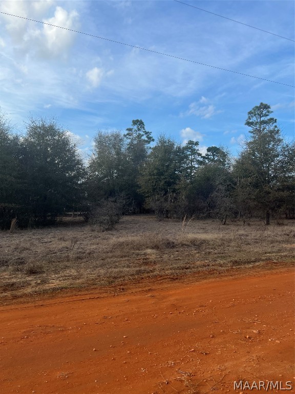 1. Lot 49 Deer Loop