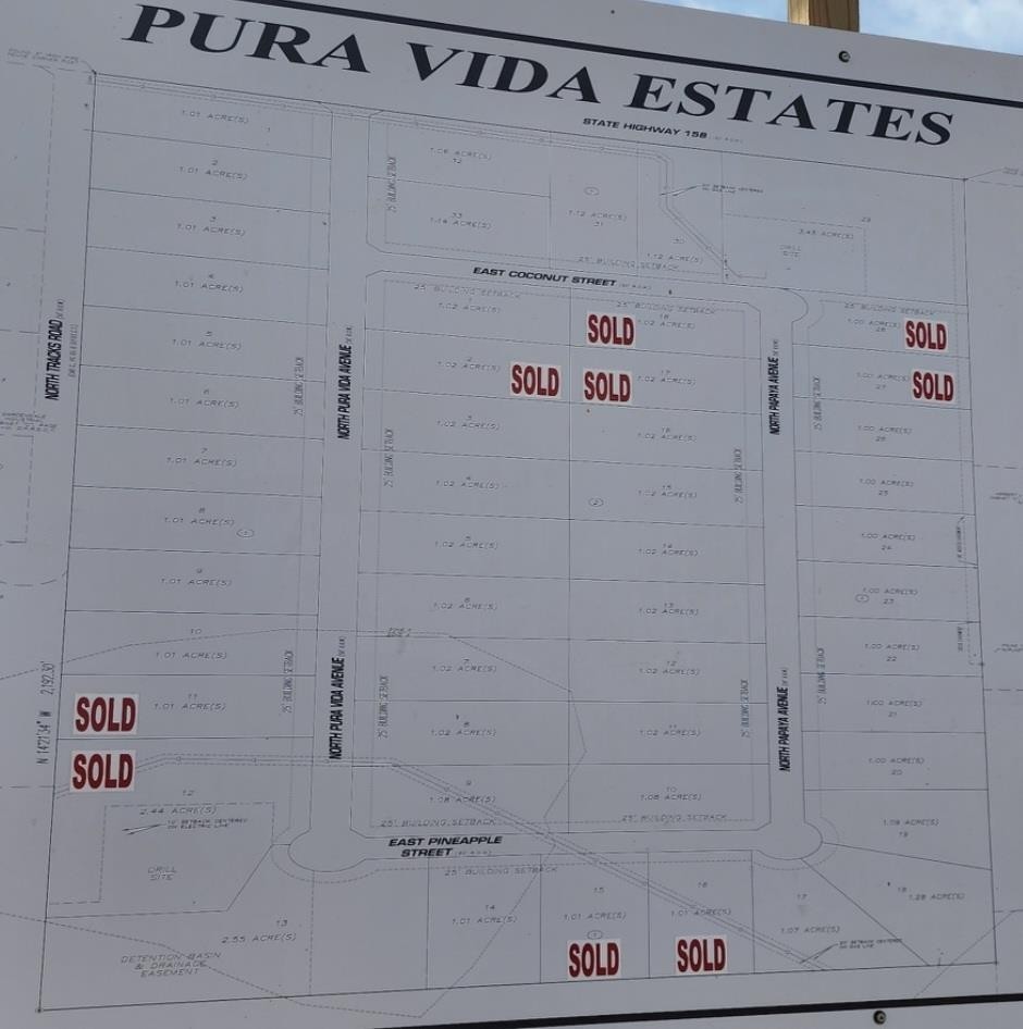 2. 16319 North Pura Vida Avenue