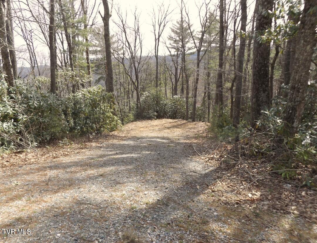 2. 704 Heartwood Lot 55 Lane