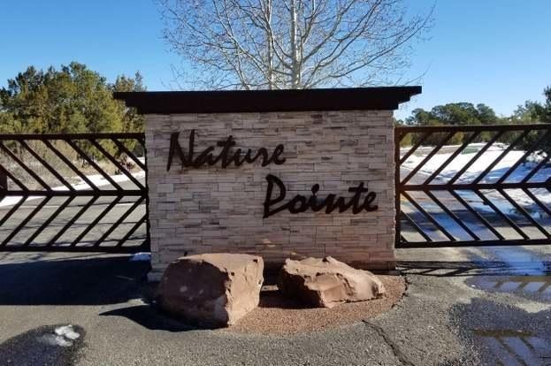 1. 11 Nature Pointe Drive