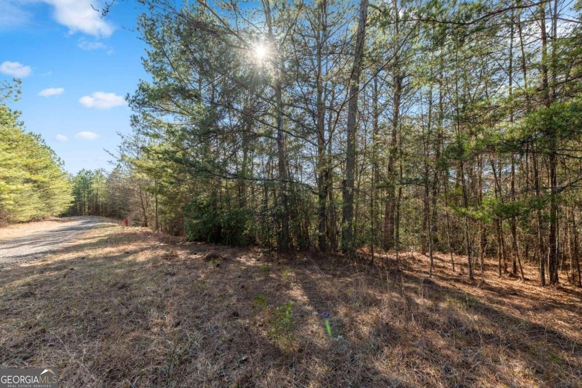 22. Lot 19 Skyline Drive