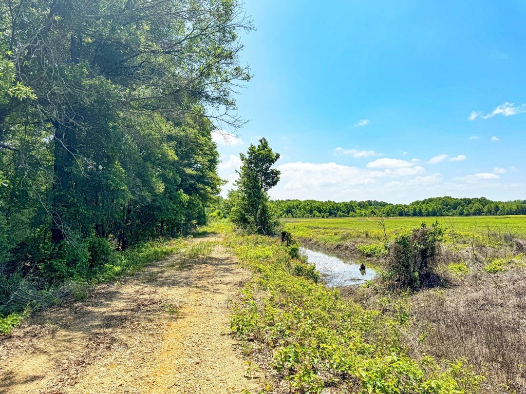 44. 420 Gardner Road - Quitman County