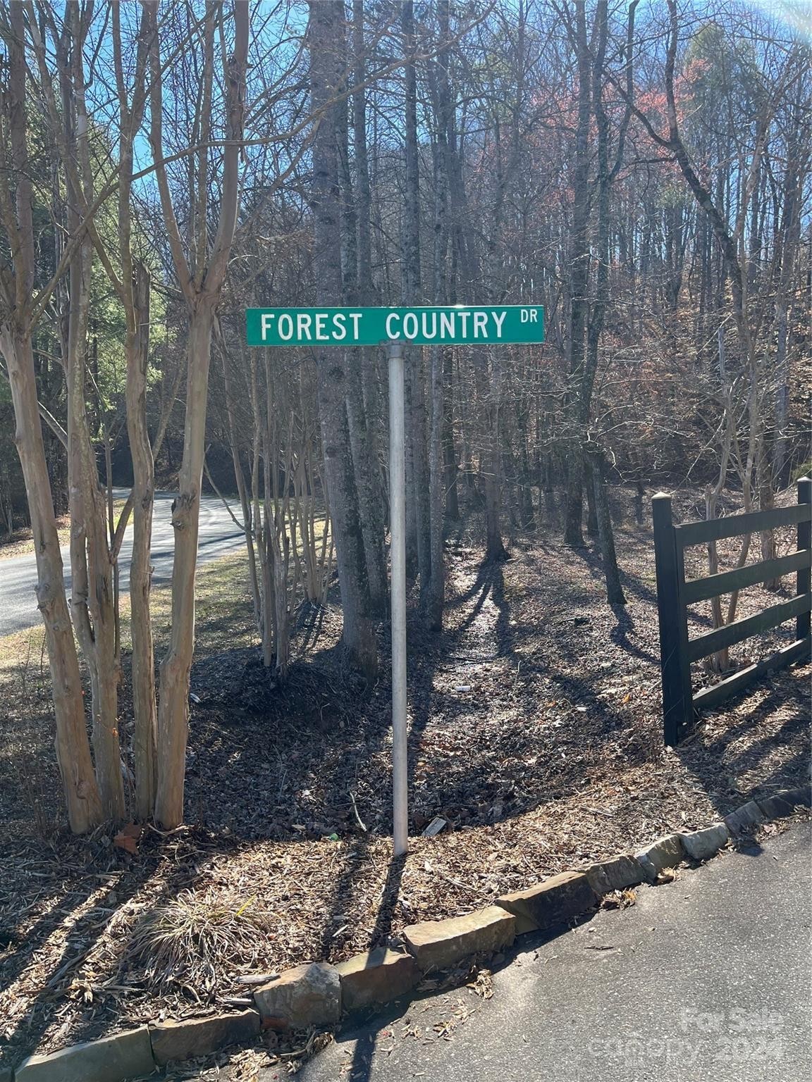 1. Tbd Forest Country Drive