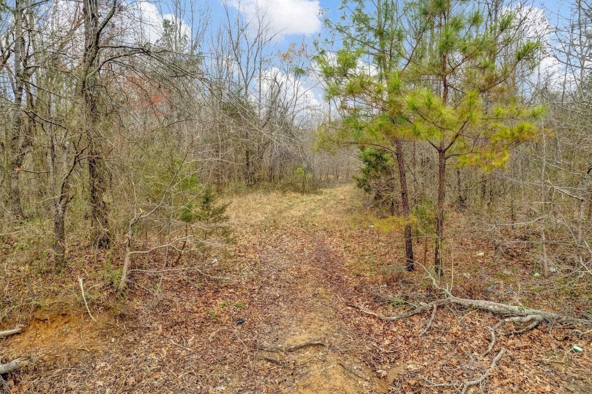 12. +/- 15 Acres Scott