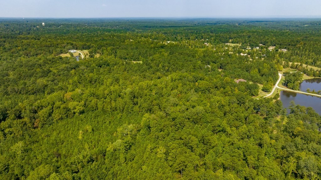 6. Lot 266 Mount Airy Road