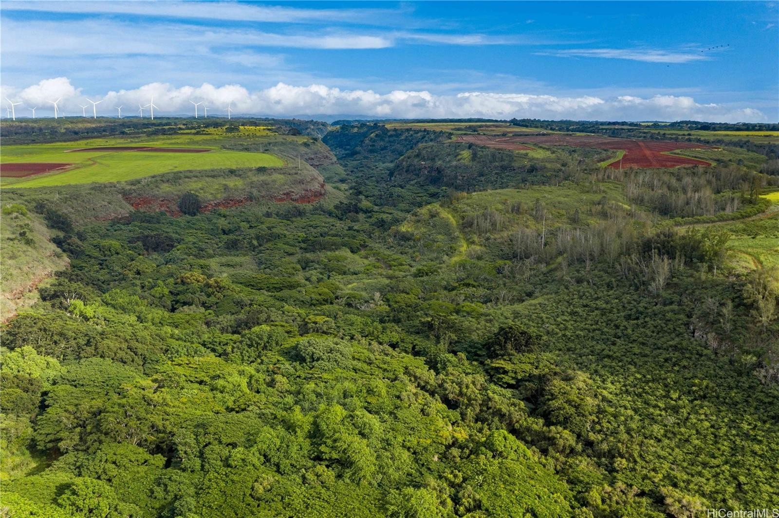 11. 0000 Kamehameha Highway