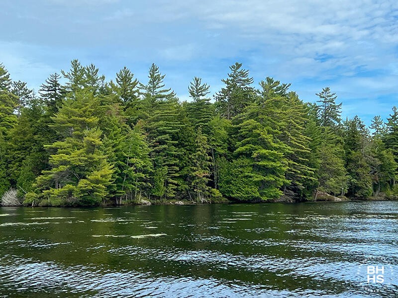 1. 0 Saranac River