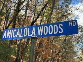 5. 0 Amicalola Woods Road