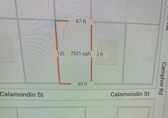 1. Calamondin Street