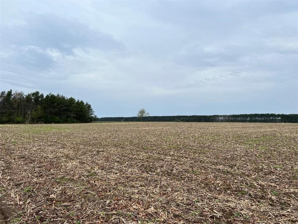 3. Lot 1 Wissota Acres