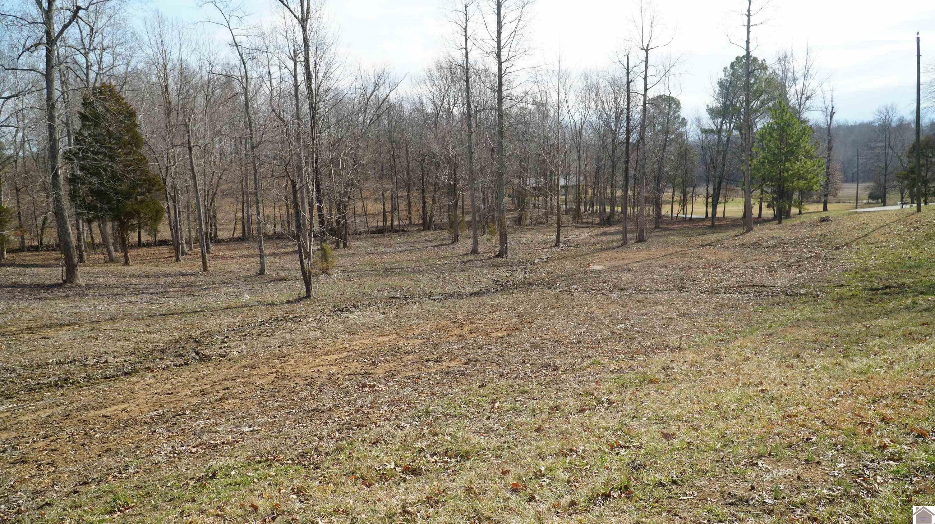 5. 000 Fern Creek Ln - Lot 14