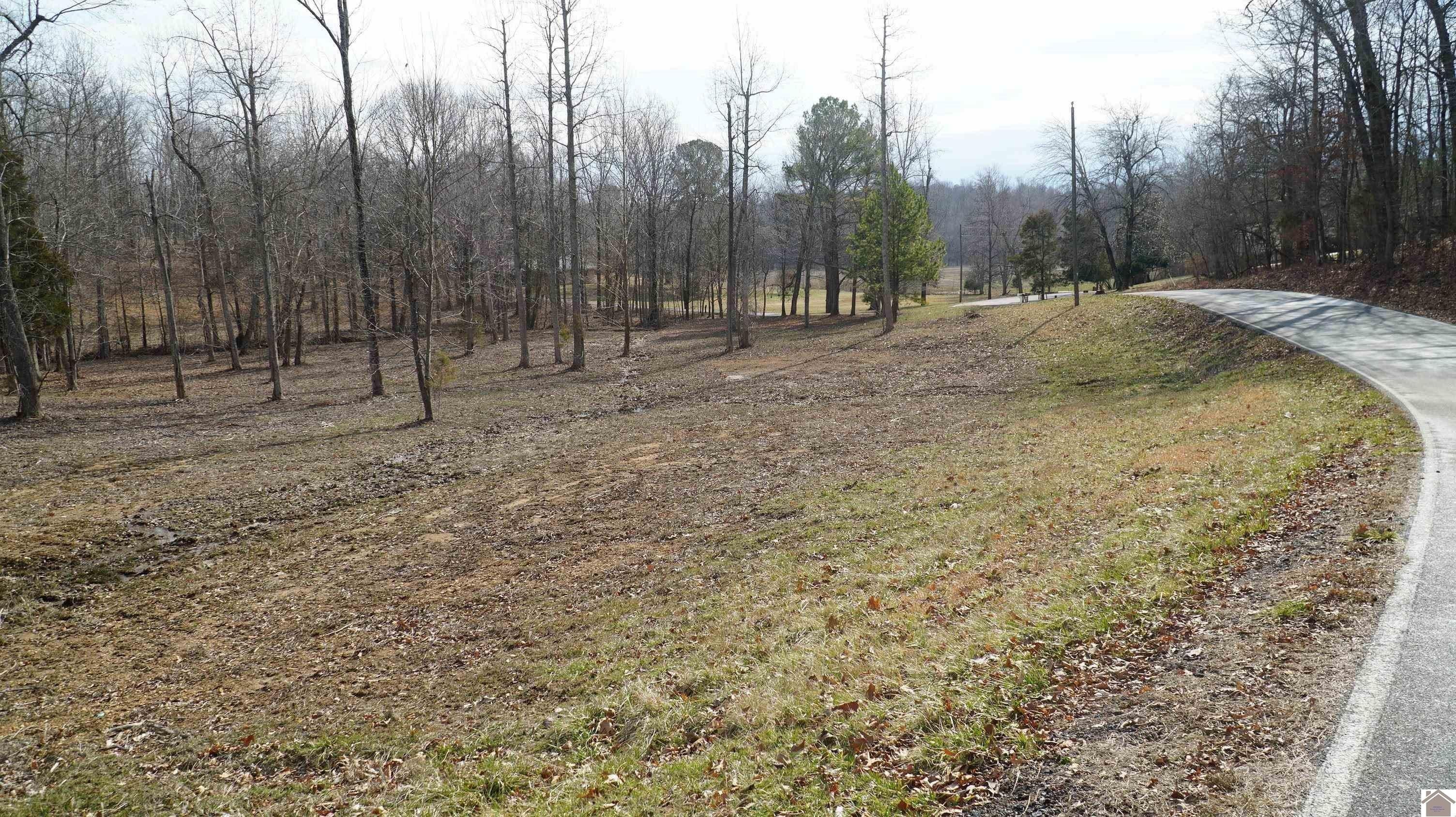 1. 000 Fern Creek Ln - Lot 14