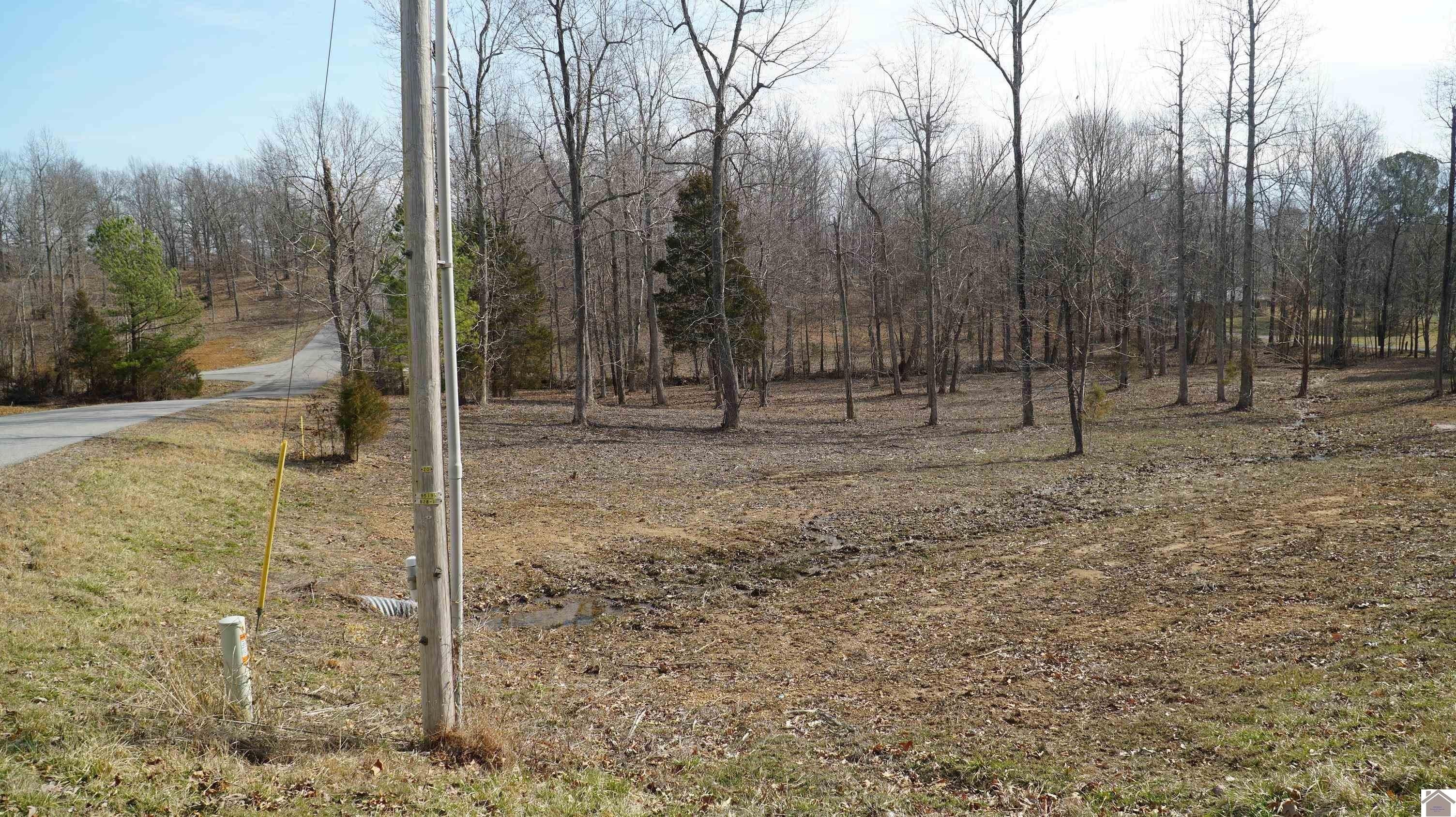 8. 000 Fern Creek Ln - Lot 14