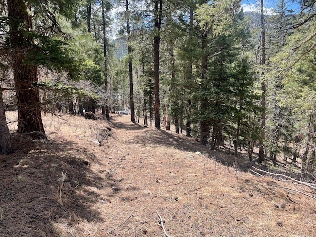 12. Lot 3,Block 3 Unit 3 Pecos Canyon Estates