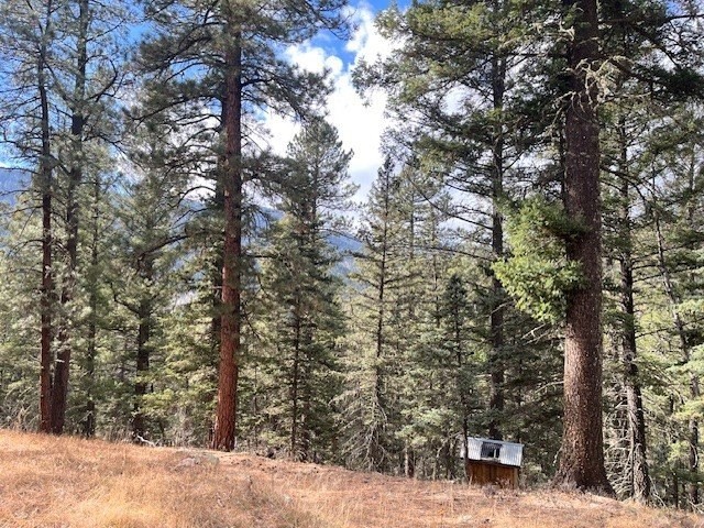 6. Lot 3,Block 3 Unit 3 Pecos Canyon Estates