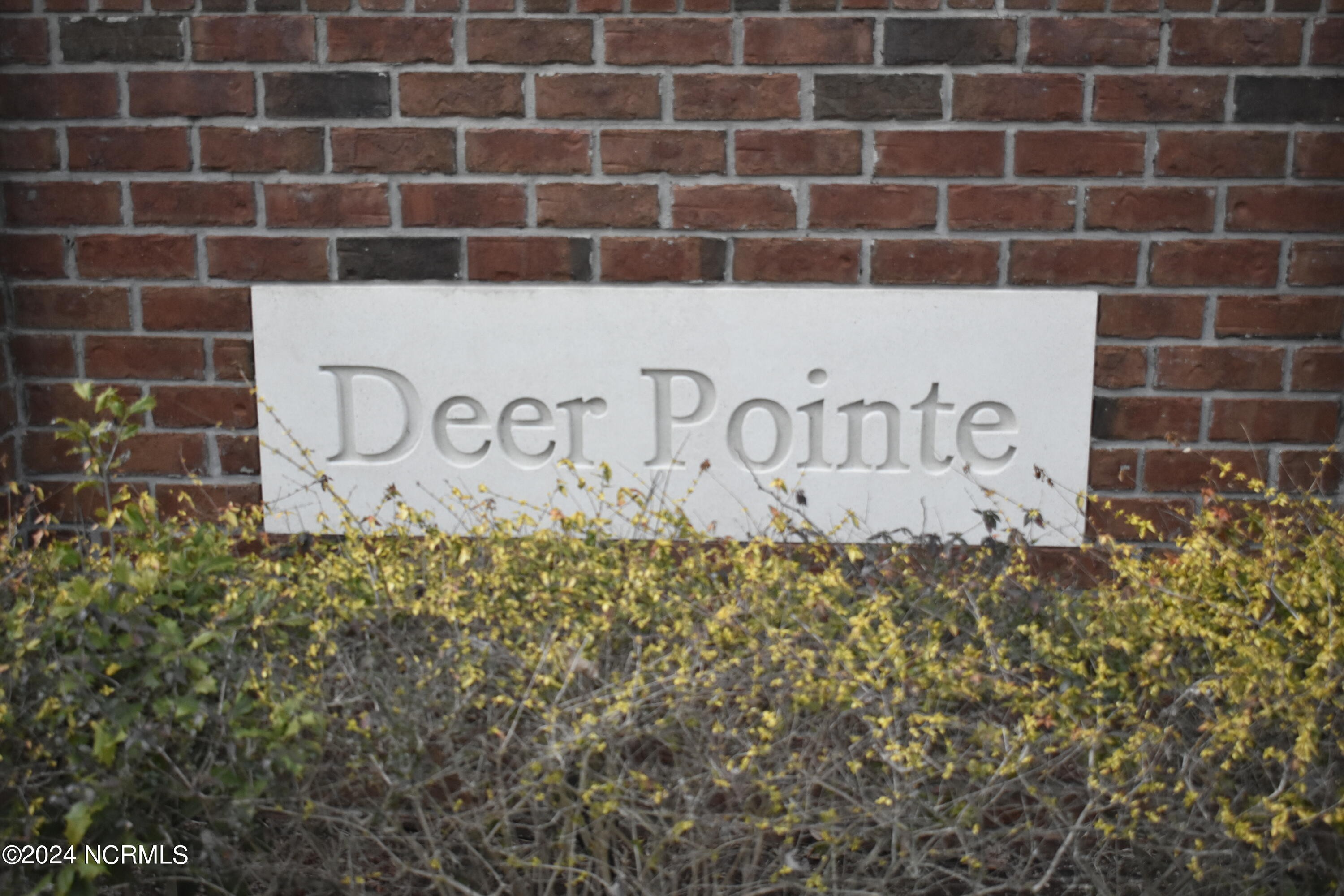 5. 173 Deer Pointe Drive
