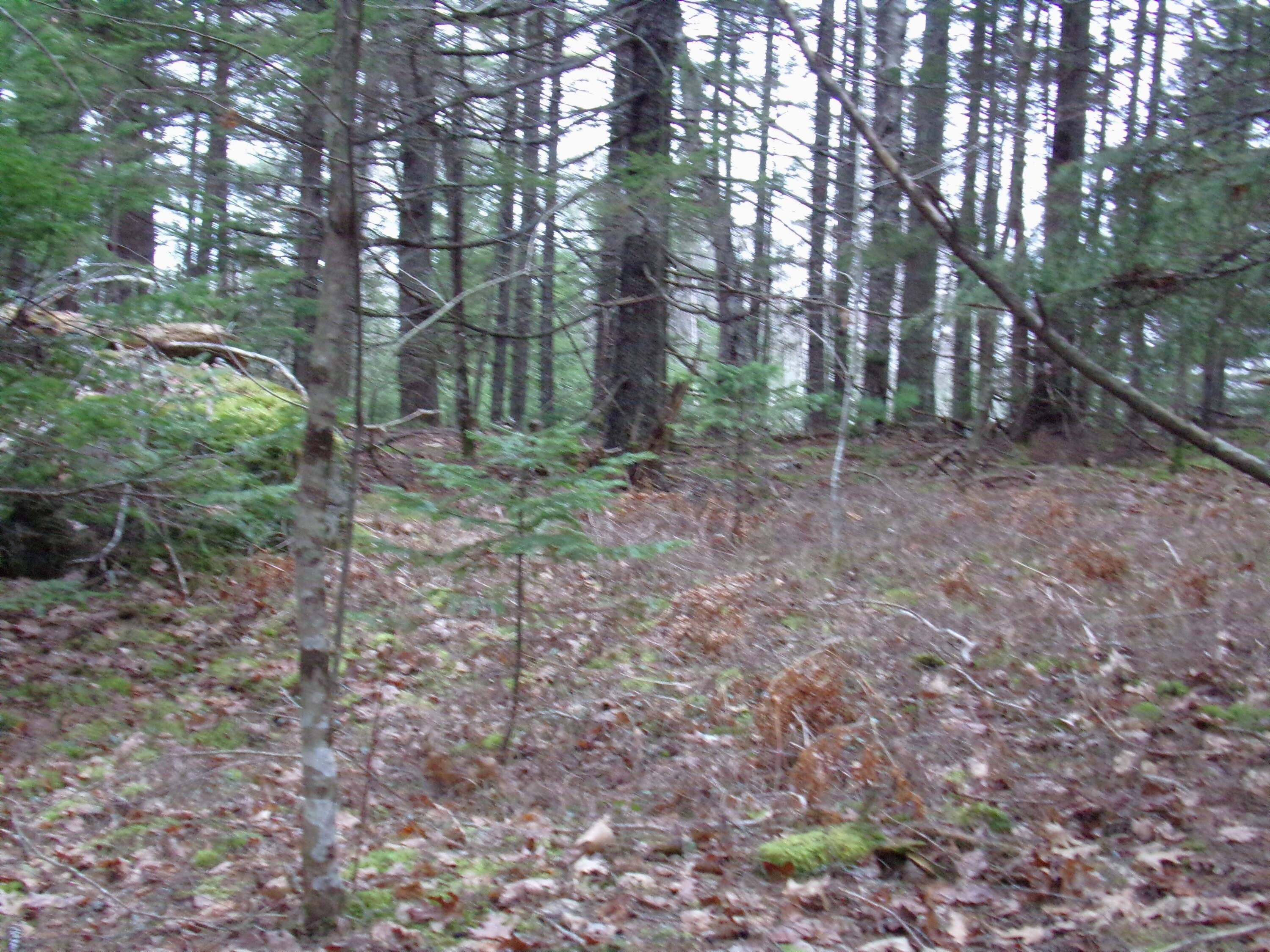 7. Lot 3-E Rogers Point Road