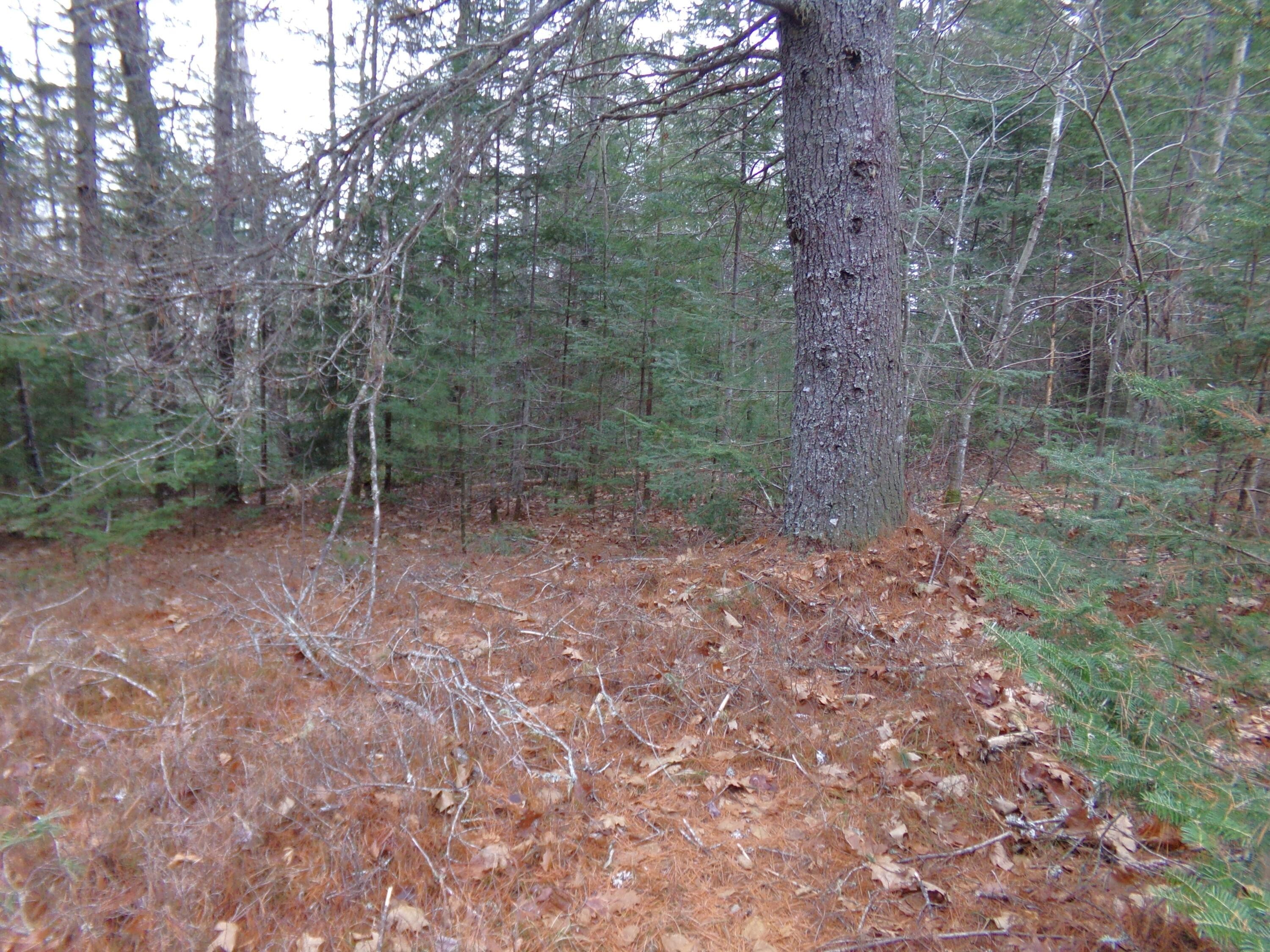 5. Lot 3-E Rogers Point Road