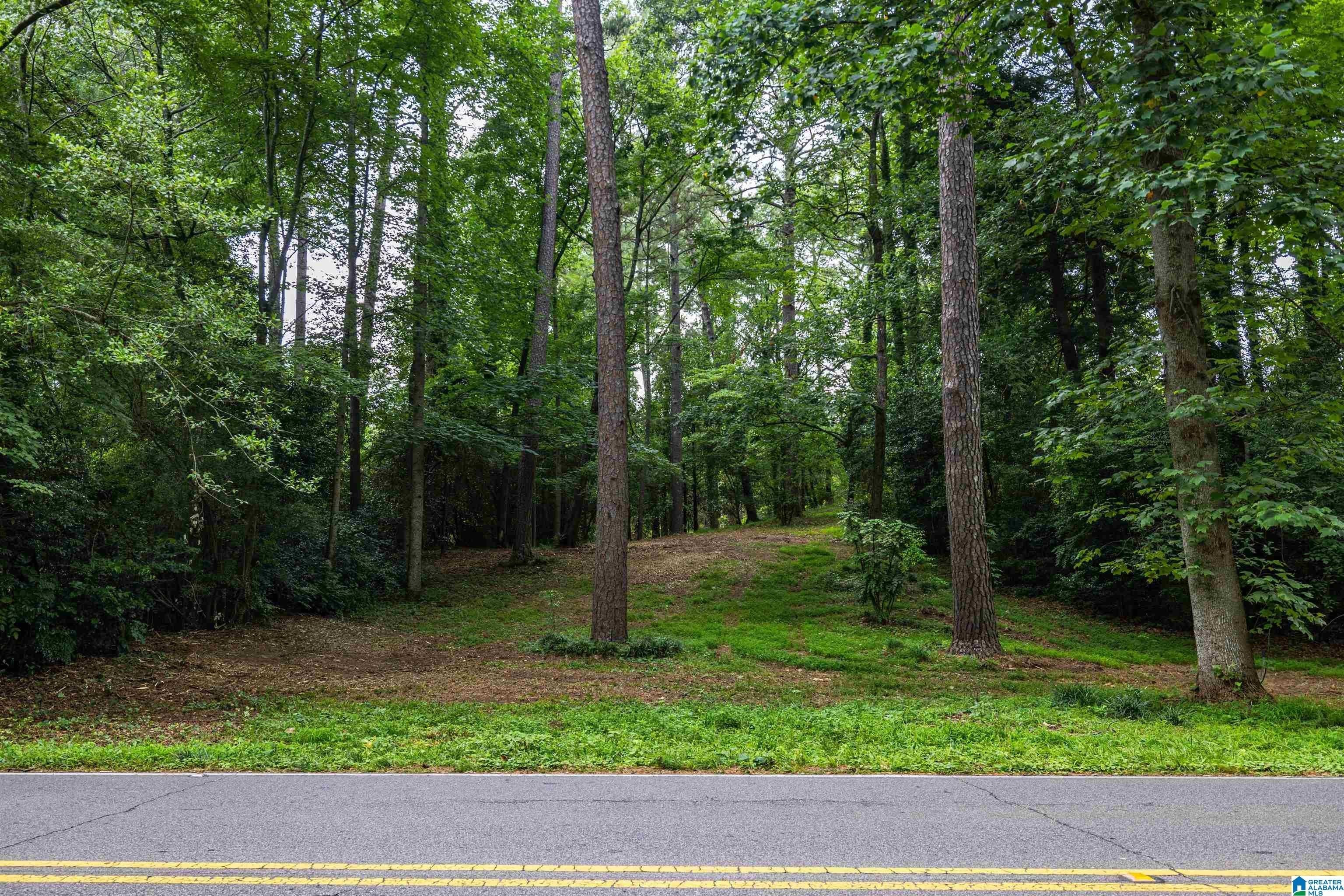 1. 2950 Mountain Brook Parkway