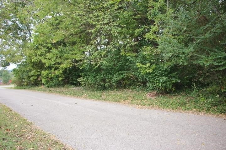 2. Lot 26 Dogwood Lane