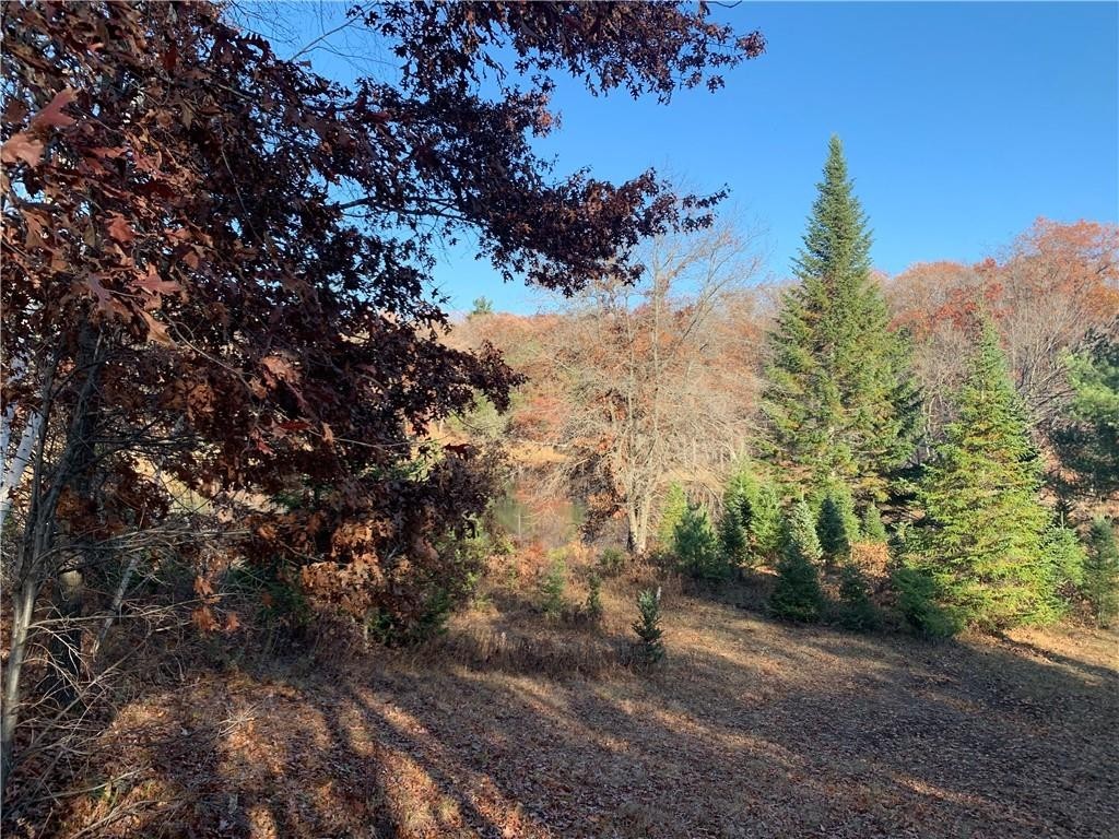 12. Lot 2 15087 County Hwy M
