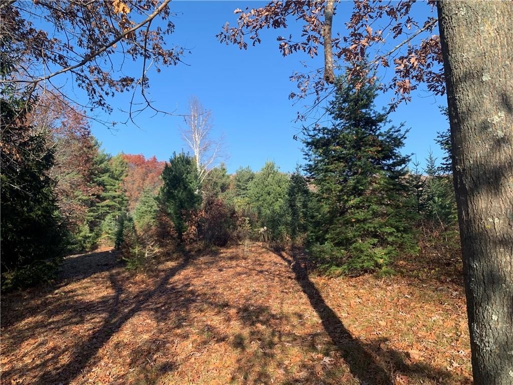 13. Lot 2 15087 County Hwy M