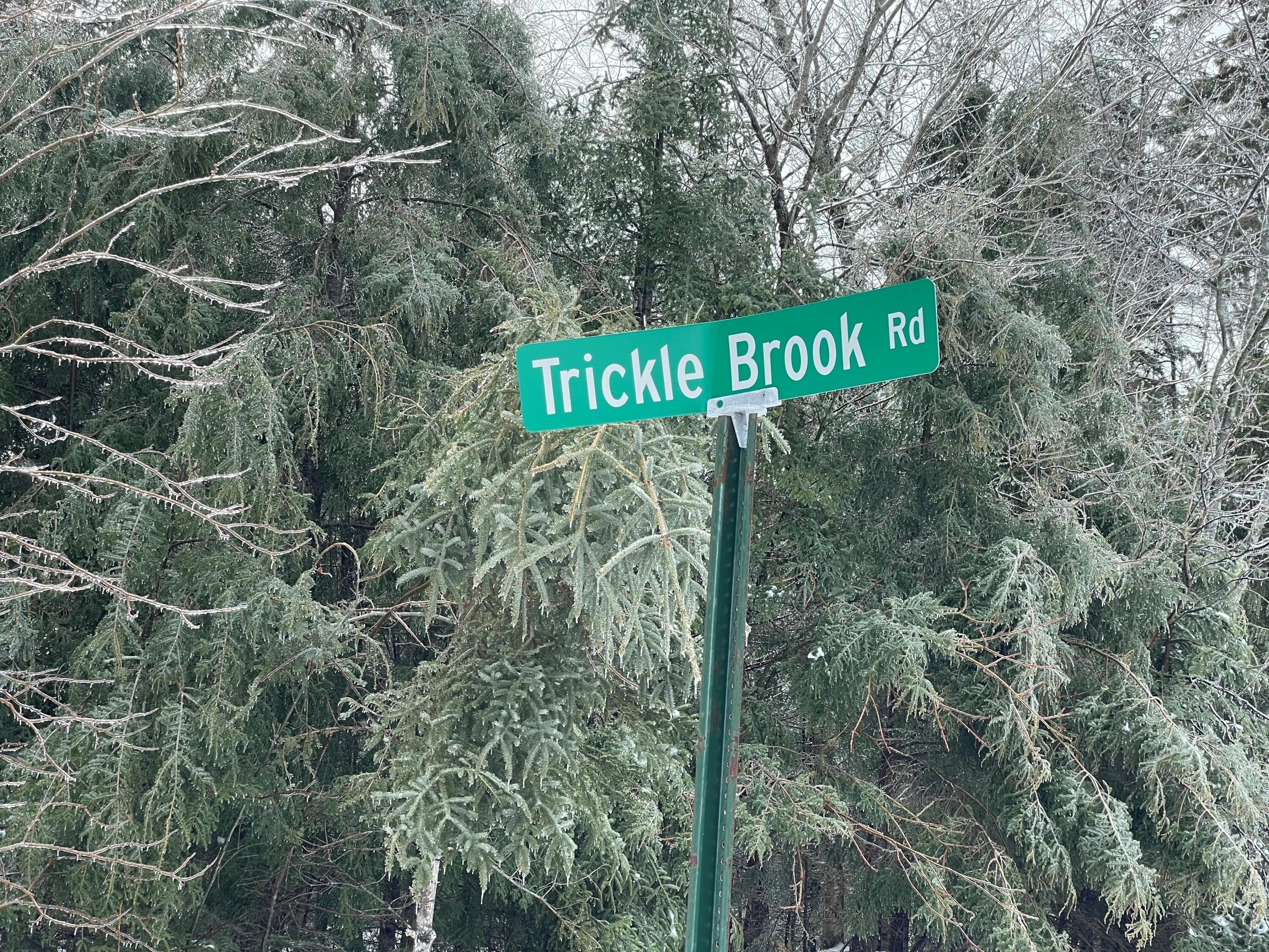 3. Lot 15 Trickle Brook Road